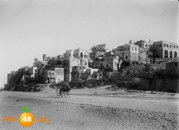 yaffa old pcur (2).jpg